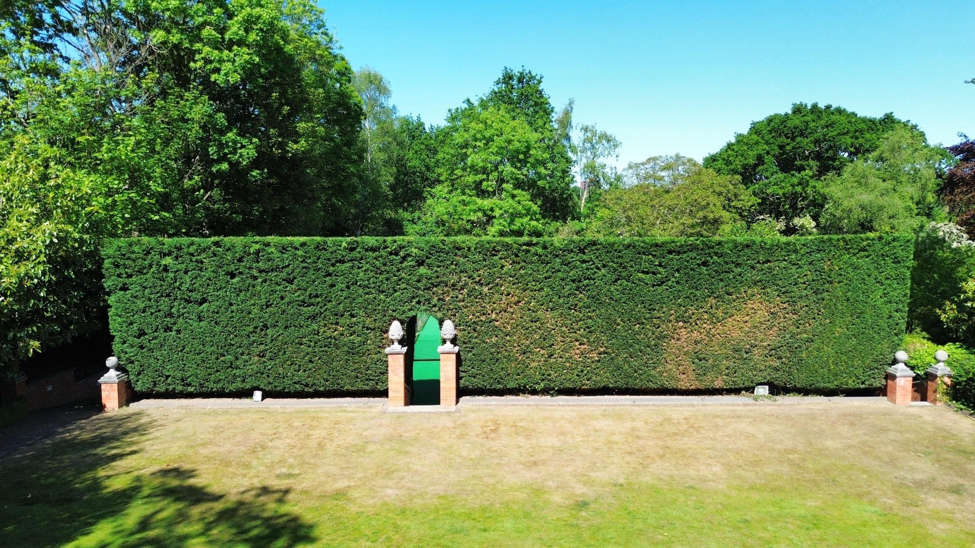 Tree surgeon at work